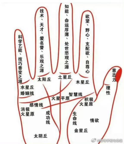 掌心手纹都是什么意思缩略图