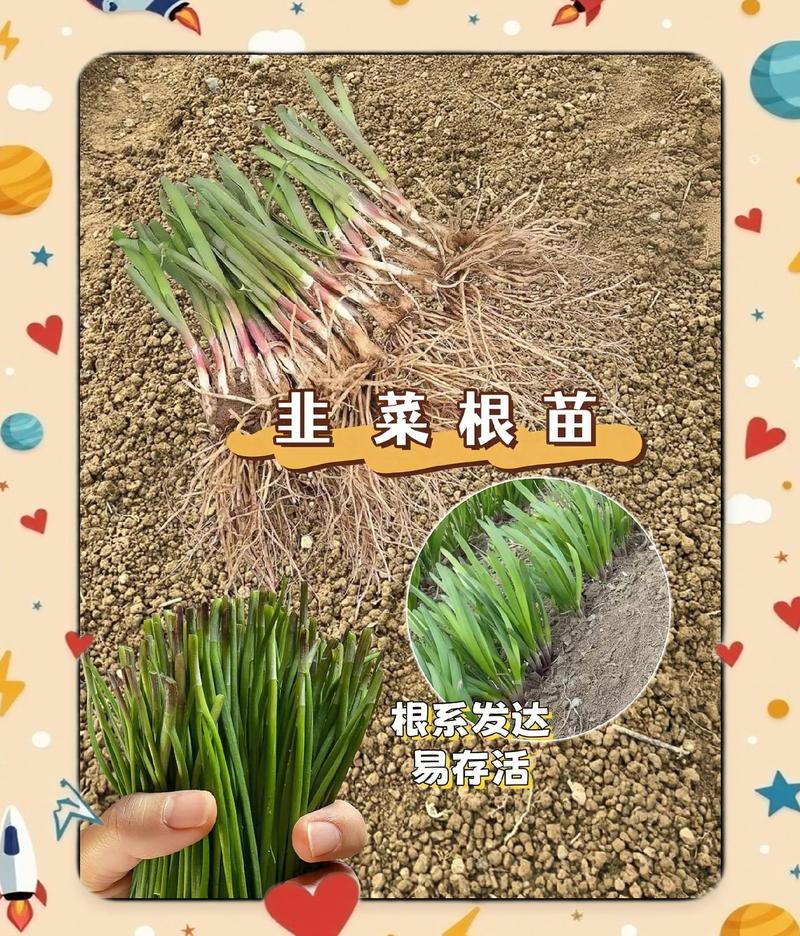 飞机能带韭菜吗过安检游戏截图