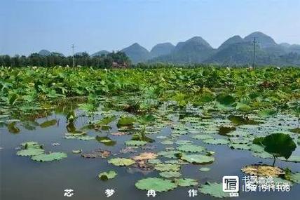湘韵文学网登录缩略图