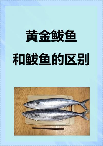 黄金鲅鱼有鱼鳞吗缩略图
