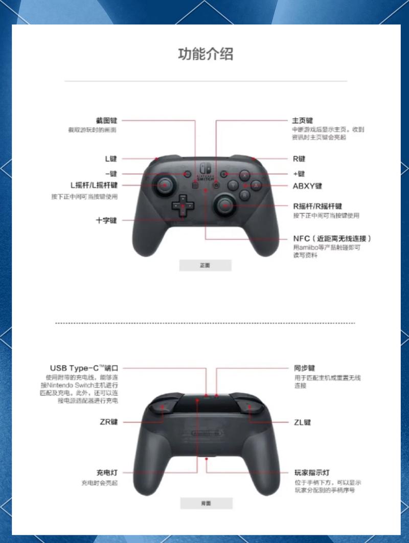 switch支持哪些手柄缩略图