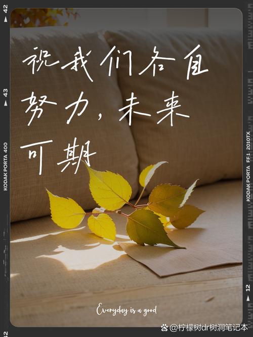 祝愿未来可期的诗句简短缩略图