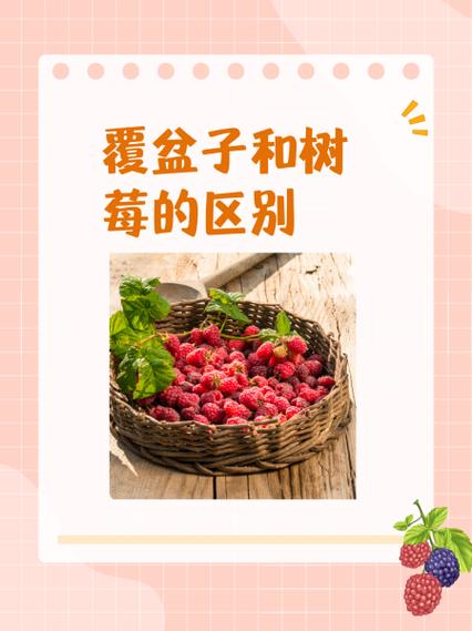 树莓和梨可以一起吃吗游戏截图