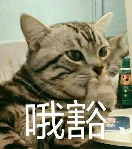 哦豁铃声缩略图