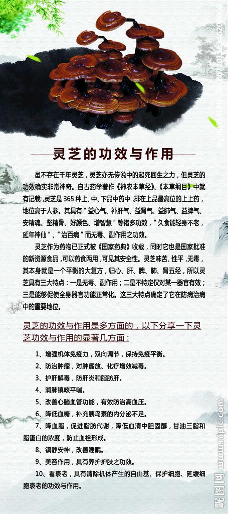 灵芝治什么病的有什么功效游戏截图