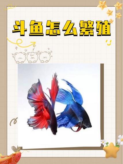 斗鱼7.6.1版本游戏截图