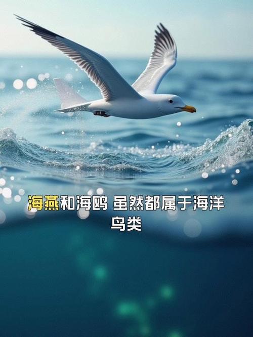海燕像什么比喻什么缩略图