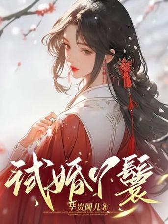 试婚丫鬟npc缩略图