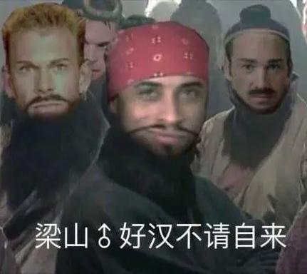 van梗的来源和含义缩略图