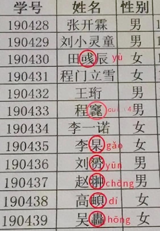 生僻字姓名翻译大全缩略图