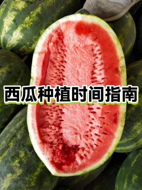 西瓜视频推荐量多少正常缩略图