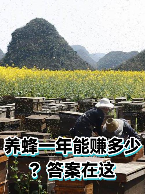蜂赚真的可以赚钱吗缩略图
