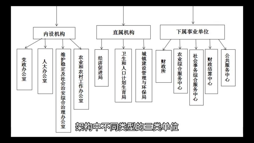 什么叫直属关系缩略图