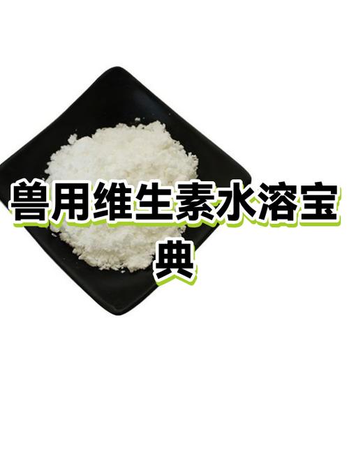 男人吃什么维生素效果最好缩略图