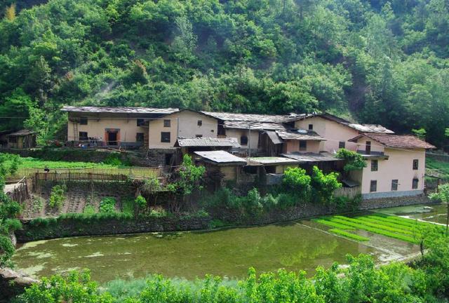 田园人家缩略图