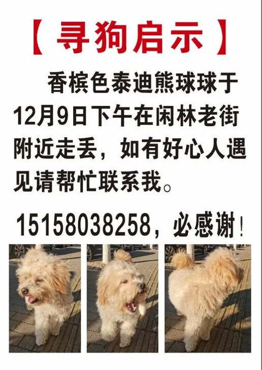 附近小商店缩略图