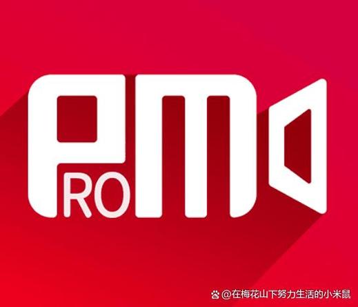 promovie专业摄像机安卓缩略图