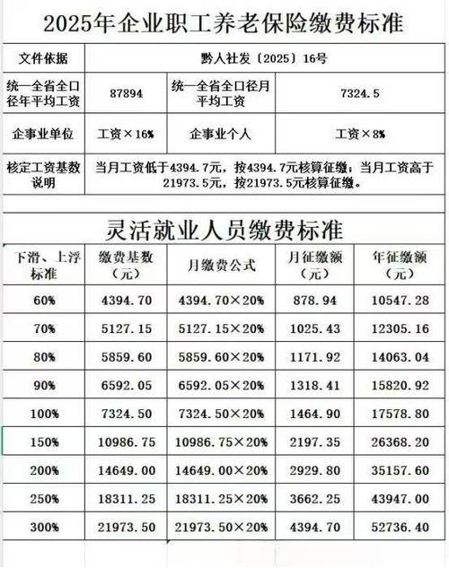 个人缴纳社保游戏截图