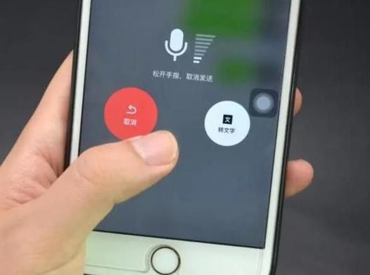 手机自己发出声音游戏截图