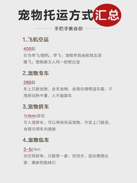 顺丰宠物托运平台官网缩略图