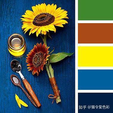 紫色和灰色哪个颜色好看缩略图