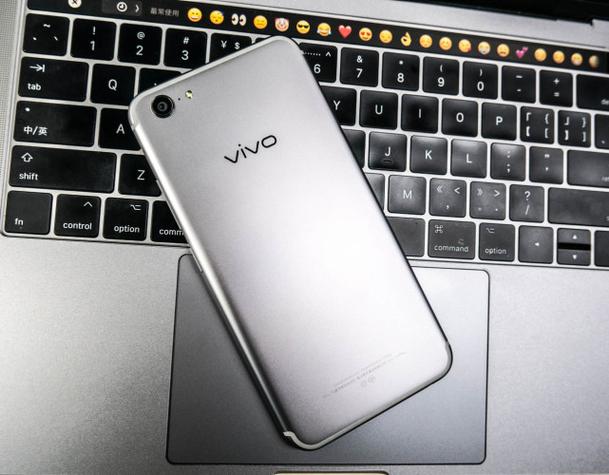 vivo手机屏幕变成灰色缩略图