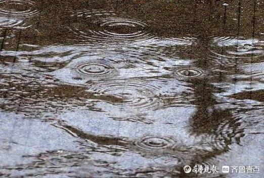 山东雨滴缩略图