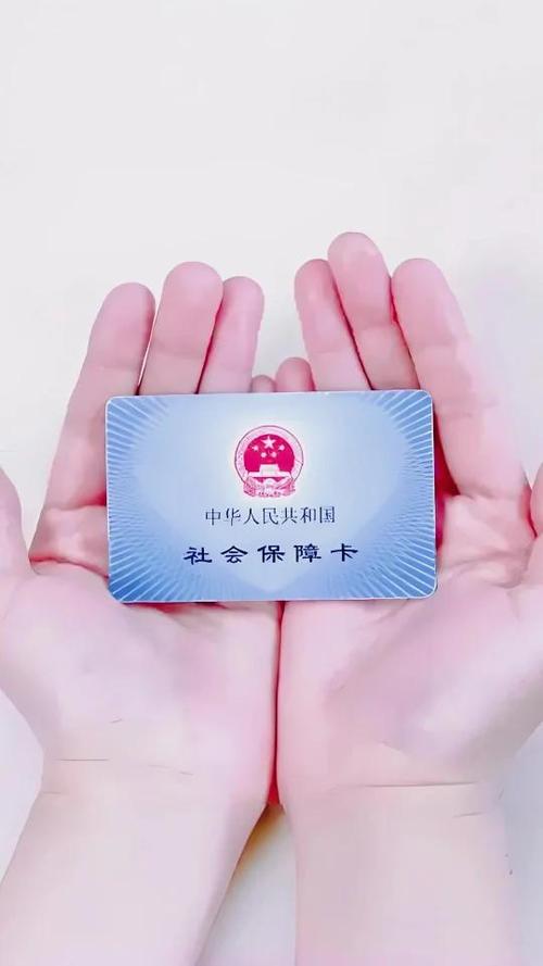 社保卡欠费怎么补缴游戏截图