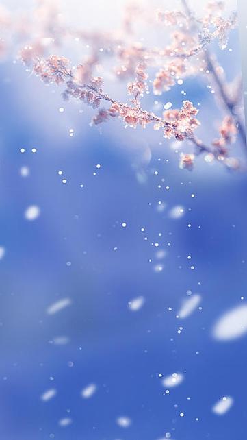 梅花网官网免费素材短视频缩略图