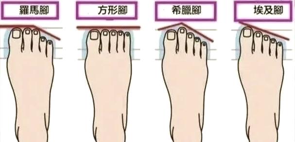莲足是什么意思缩略图