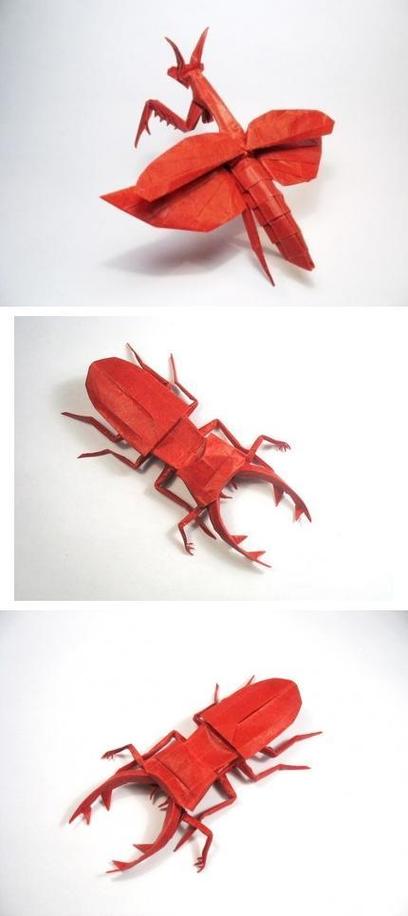 昆虫折纸缩略图