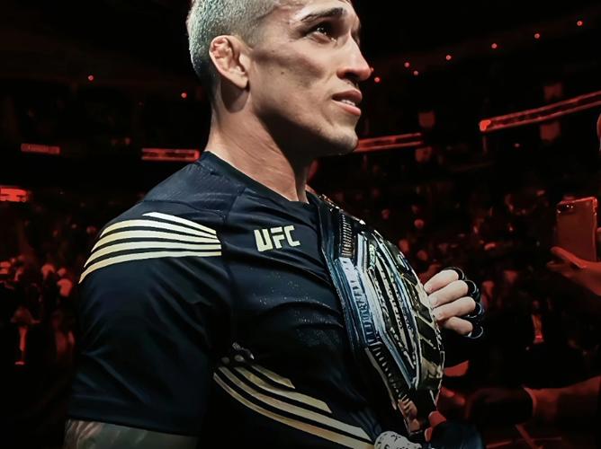 ufc在线观看高清免费游戏截图