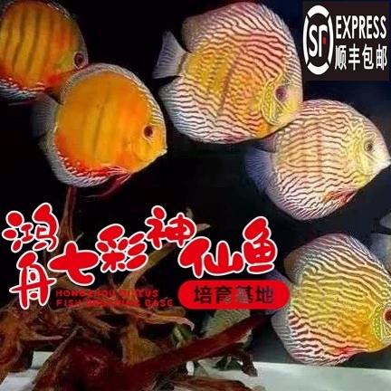 仙家渔场缩略图