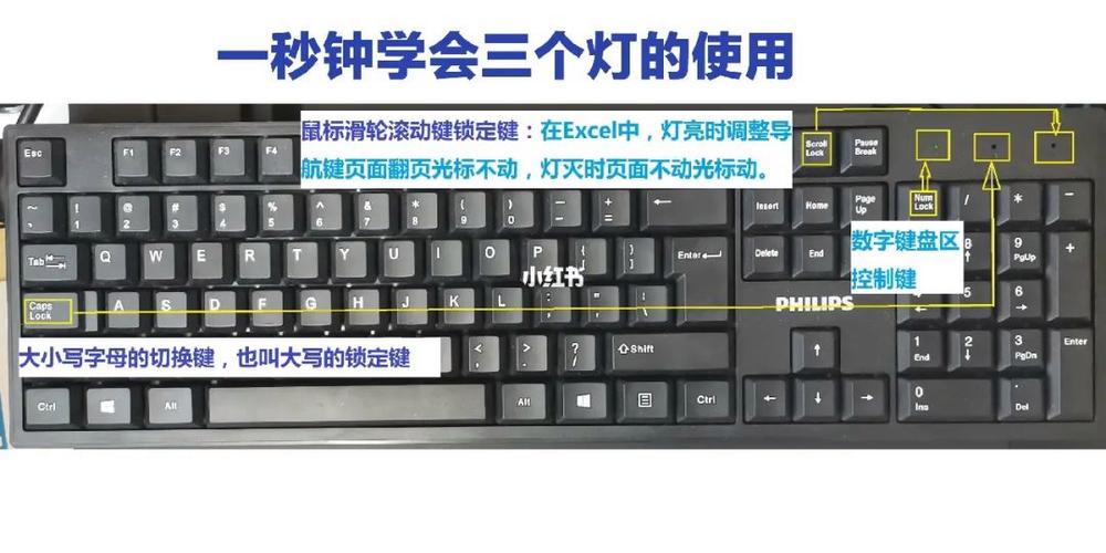 键盘上第三个灯怎么关缩略图