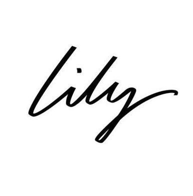 lily公司简介缩略图