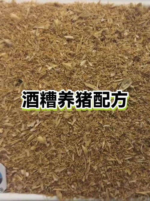 养猪的方法和技巧游戏截图