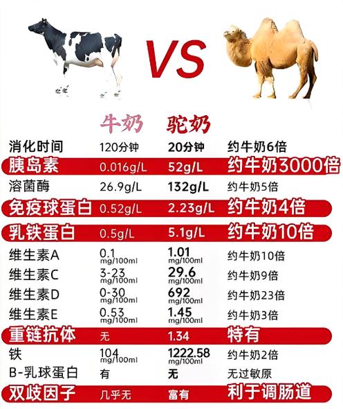 喝驼奶粉早上喝好还是晚上喝好缩略图