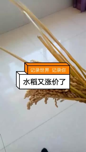 快手晚发立赔怎么赔偿缩略图