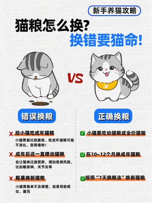 换了猫粮猫不吃 饿极了缩略图