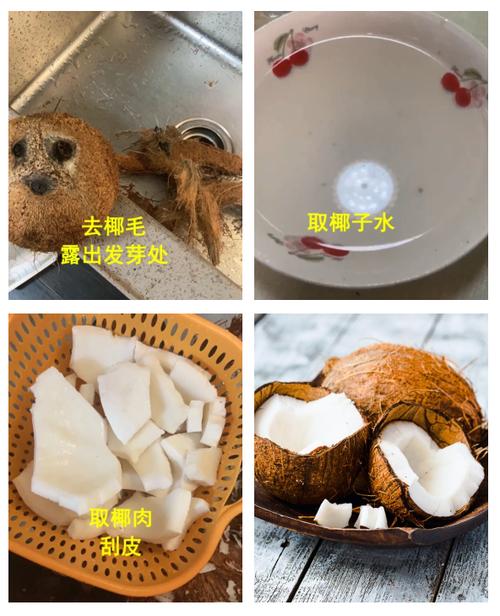 老椰子怎么开硬壳吃肉缩略图