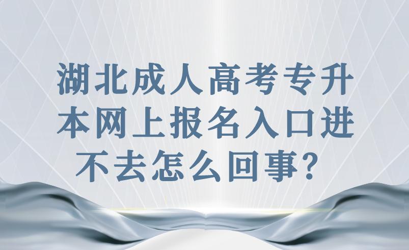 成人高考报名官网入口缩略图
