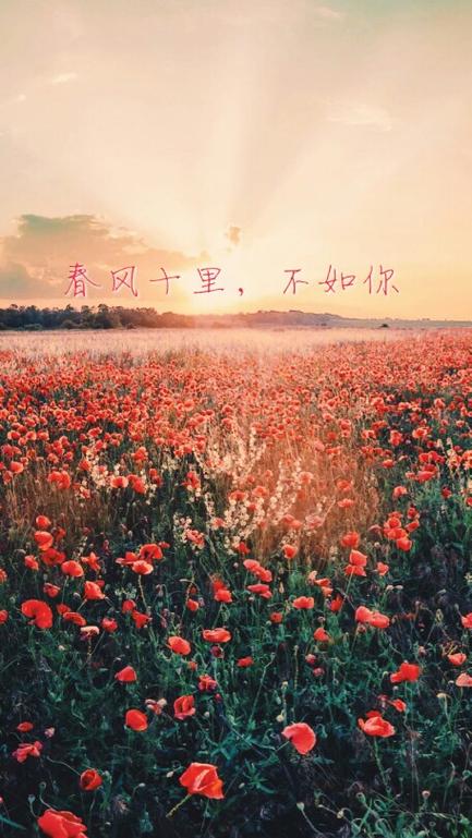 春风十里歌词表达意思游戏截图