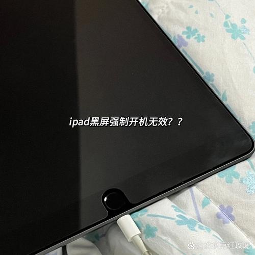 ipad黑屏强制重启也不行缩略图