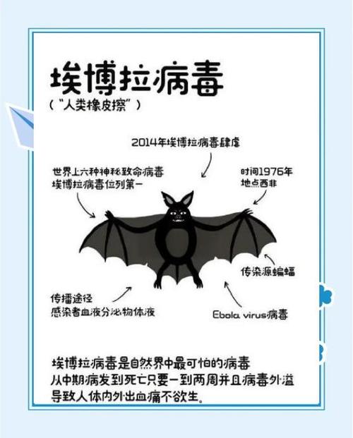 mers病毒是什么病毒缩略图