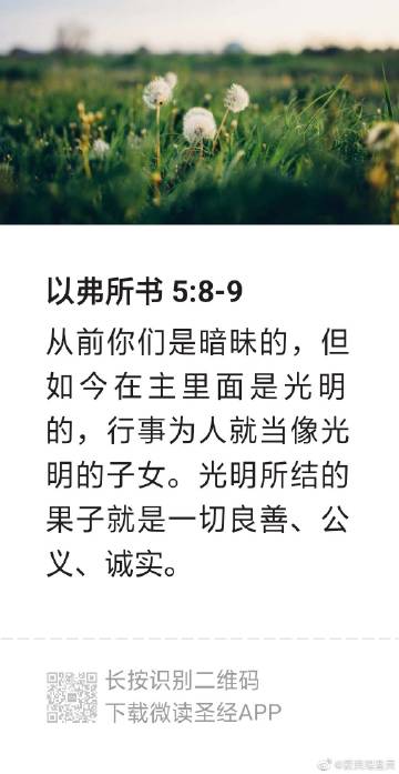 讲道讲章 讲章精选集游戏截图