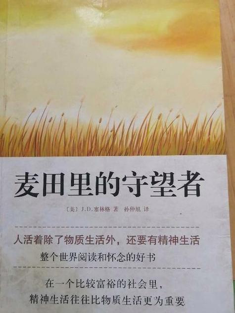 麦田守望者原文阅读缩略图
