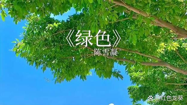 绿色歌曲原唱完整版缩略图
