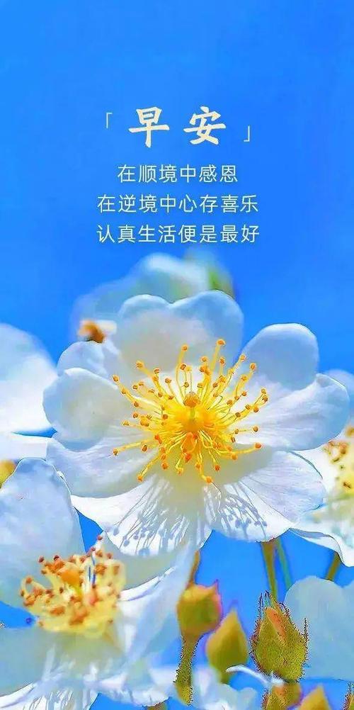 发朋友圈的图片上带子缩略图