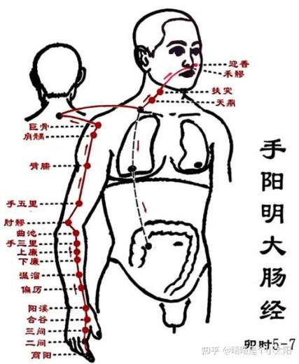 倪海厦针灸大成视频教学缩略图