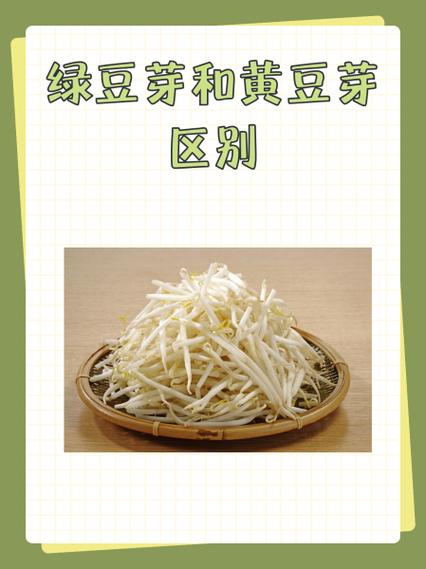 豆瓣和豆芽的区别缩略图